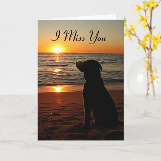 Sunset Dog on Beach - Miss You Kaart (Gele Bloem)