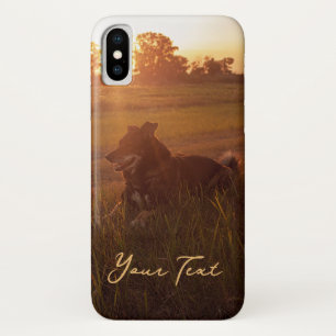 Sunset Dogs Kunstfotografie Case-Mate iPhone Case