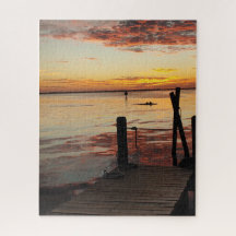 Sunset Dolphins