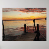 Sunset Dolphins Poster (Voorkant)