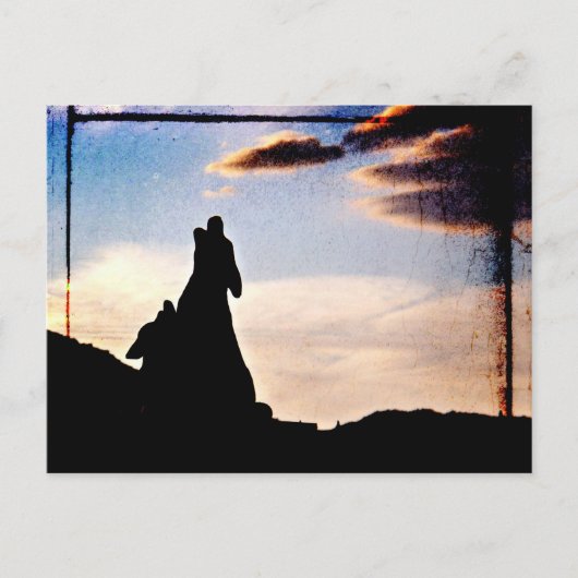 Sunset Dreams Briefkaart (Voorkant)