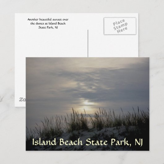 Sunset Dune Grass IBSP Briefkaart (Voorkant / Achterkant)