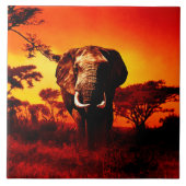 Sunset Elephant Tegeltje (Voorkant)