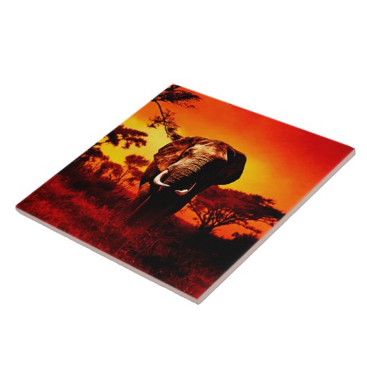 Sunset Elephant Tegeltje (Zijkant)