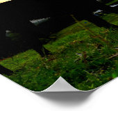 Sunset en Poop Poster (Hoek)