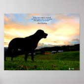 Sunset en Poop Poster (Voorkant)