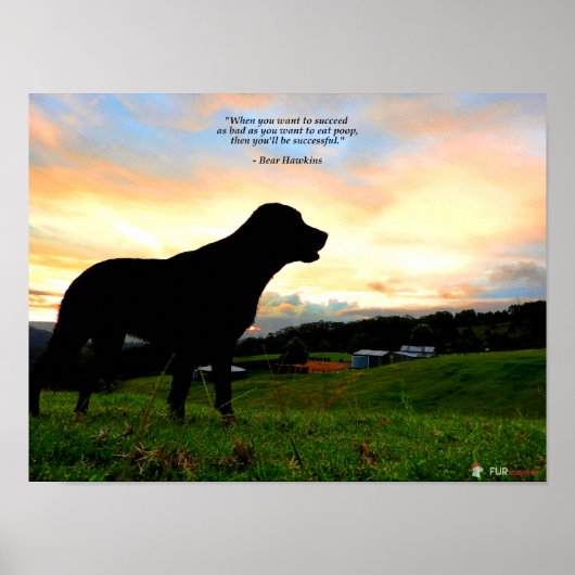 Sunset en Poop Poster (Voorkant)