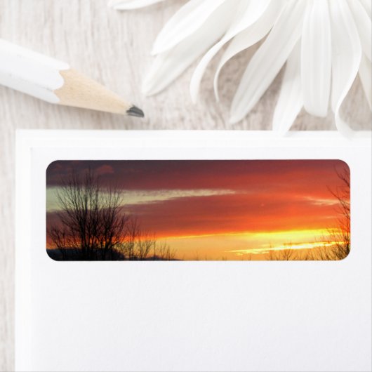 Sunset Etiket (Insitu)