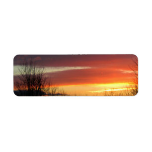 Sunset Etiket