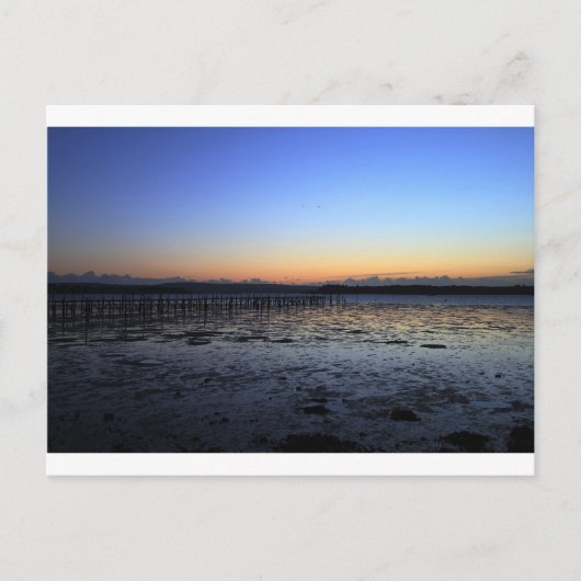 Sunset Evening Hill Briefkaart (Voorkant)