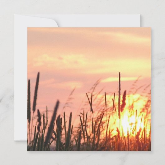 Sunset Field Wedding Invitation Kaart (Achterkant)