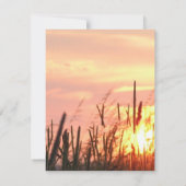Sunset Field Wedding Invitation Kaart (Achterkant)