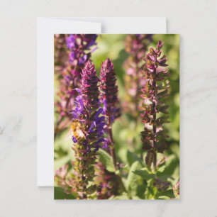 Sunset Flowers Bee Briefkaart