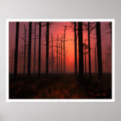 Sunset Fog Poster (Voorkant)