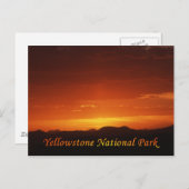 Sunset from Mt. Washburn Briefkaart (Voorkant / Achterkant)