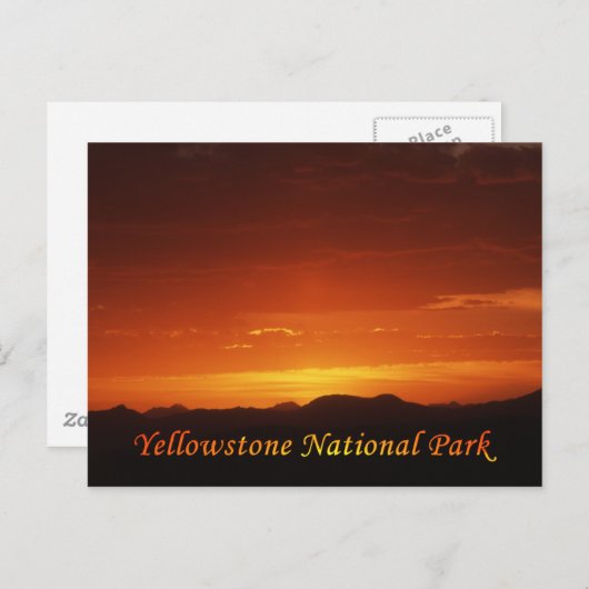 Sunset from Mt. Washburn Briefkaart (Voorkant / Achterkant)