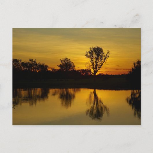 Sunset, Geel Water Billabong Briefkaart (Voorkant)