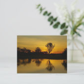 Sunset, Geel Water Billabong Briefkaart (Staand voorkant)