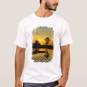Sunset, Geel Water Billabong T-shirt