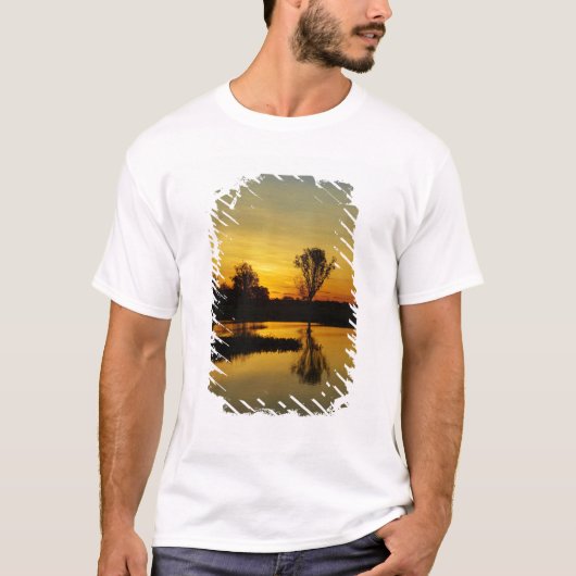 Sunset, Geel Water Billabong T-shirt (Voorkant)