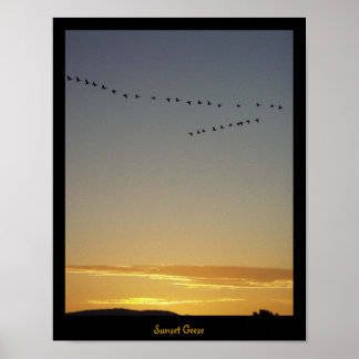 Sunset Geese Poster