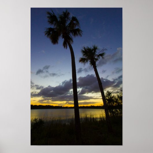 Sunset, George Leodd Preserve, Fort Pierce, FL Poster (Voorkant)