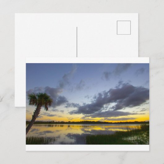 Sunset, George LeStrange Preserve, Fort Pierce, FL Briefkaart (Voorkant / Achterkant)