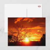 Sunset Glory Briefkaart (Voorkant / Achterkant)