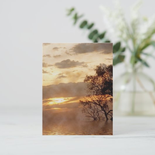 Sunset Glory Briefkaart (Staand voorkant)