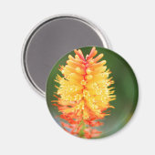 Sunset Glow Magnet (Voorkant / Achterkant)