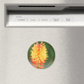 Sunset Glow Magnet (Insitu (Vaatwasser))