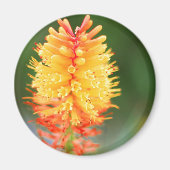 Sunset Glow Magnet (Voorkant)