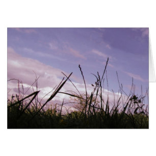 Sunset Grass Card