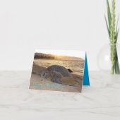 Sunset Groen Zee Turtle Verjaardag Kaart (Voorkant)