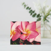 Sunset Hawaiian Plumeria Frangipani Trio Briefkaart (Staand voorkant)