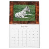SUNSET HILL APPALOOSAS (HERZIEN) KALENDER (Mar 2027)