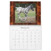SUNSET HILL APPALOOSAS (HERZIEN) KALENDER (Feb 2027)