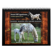 SUNSET HILL APPALOOSAS (HERZIEN) KALENDER (Hoes)