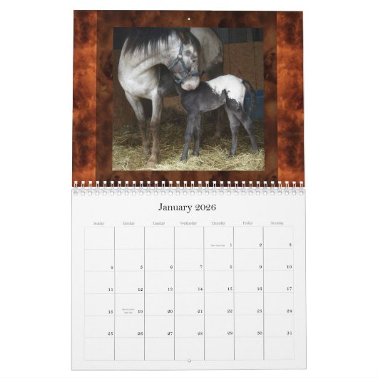 SUNSET HILL APPALOOSAS (HERZIEN) KALENDER (Jan 2026)