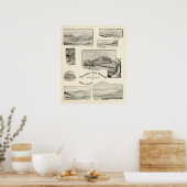 Sunset Hill House, Sugar Hill, NH Poster (Keuken)