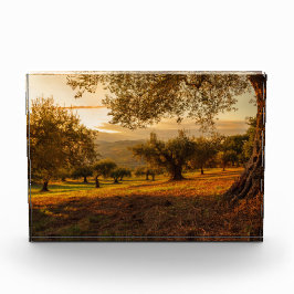 Sunset Hills Autumn Trees Fotoblokken