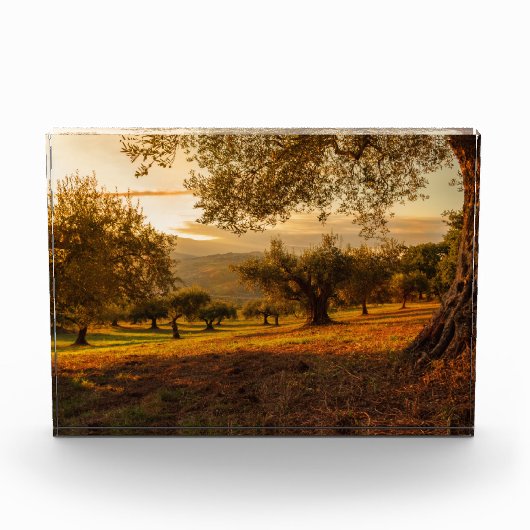 Sunset Hills Autumn Trees Fotoblokken (Voorkant)