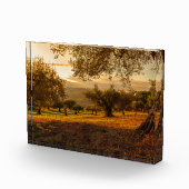 Sunset Hills Autumn Trees Fotoblokken (Rechts)