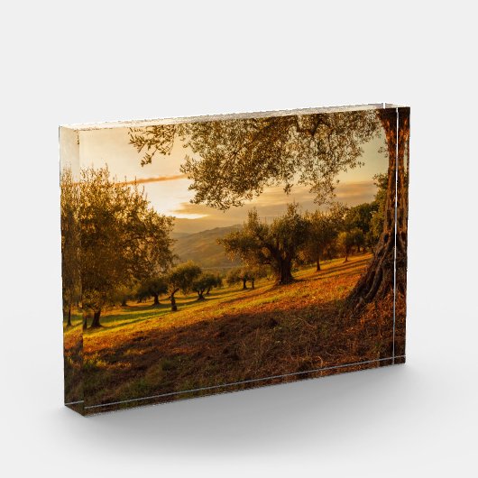 Sunset Hills Autumn Trees Fotoblokken (Links)