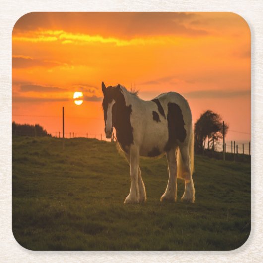Sunset Horse Kartonnen Onderzetters (Voorkant)