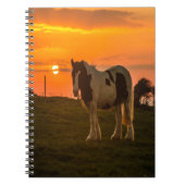 Sunset Horse Notitieboek (Voorkant)