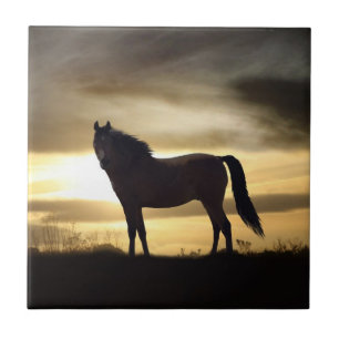 Sunset Horse SIlhouette Gift Tile Tegeltje