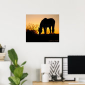 Sunset Horse Silhouette Poster (Thuiskantoor)