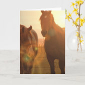 Sunset Horses Wenskaart Kaart (Gele Bloem)