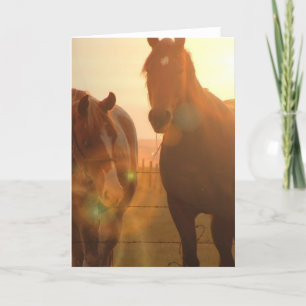 Sunset Horses Wenskaart Kaart